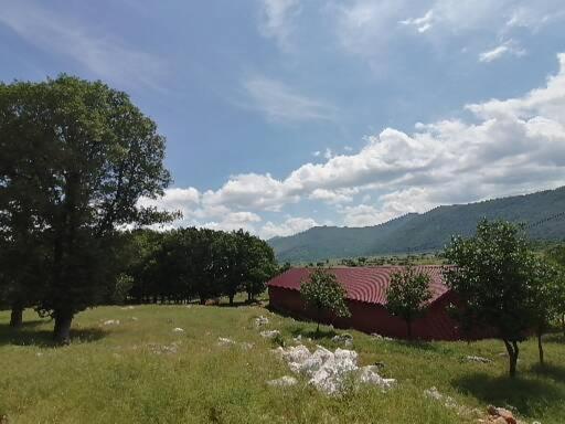 Farma & Opg Sasa Delic Korenica