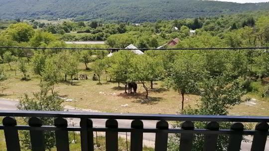Farma & Opg Sasa Delic * Korenica